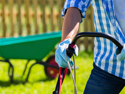 Vestibulum ante primis