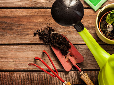 Eget condimentum rhoncus