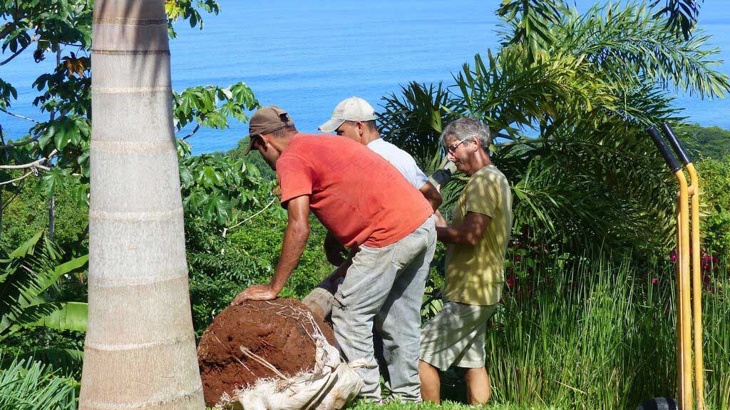 Professional Landscaping - La Hoja Nueva, Las Delicias, Cóbano, Costa Rica